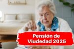 Pensión de Viudedad 2025: Requisitos Actualizados y Calendario Oficial de Pagos