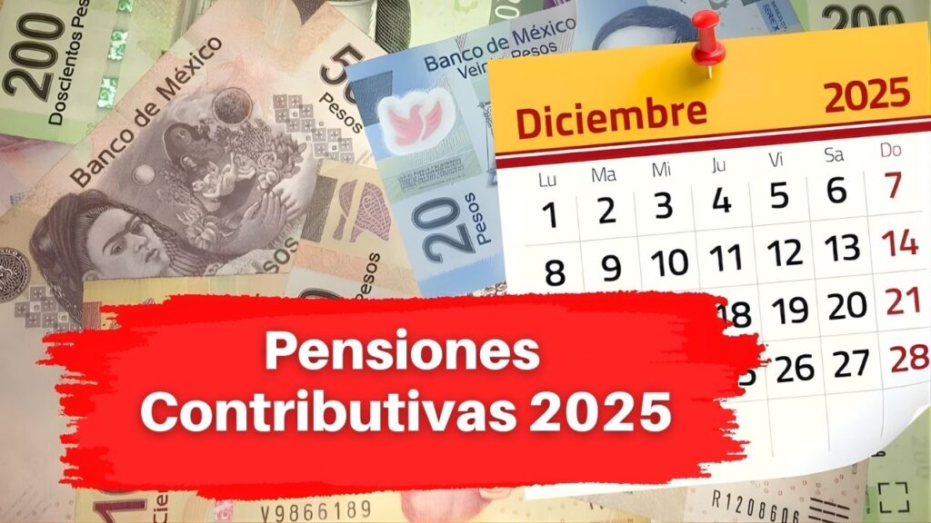 Pensiones Contributivas 2025: incremento del 2,8% y Fechas de Pago
