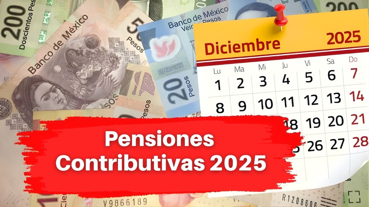 Pensiones Contributivas 2025: incremento del 2,8% y Fechas de Pago